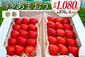 【配送不可地域あり】先行受付 博多あまおう 約270g×4 / エイチアンドフューチャーズ / 福岡県 筑紫野市 [21760414] 果物 フルーツ いちご イチゴ 苺 朝採り 新鮮