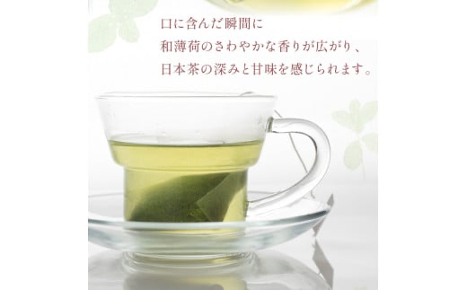 【3ヶ月定期便】北見和種薄荷 グリーンティーセット ( お茶 茶 詰め合わせ 定期便 ハッカ 薄荷 フレーバーティー )【999-0026】