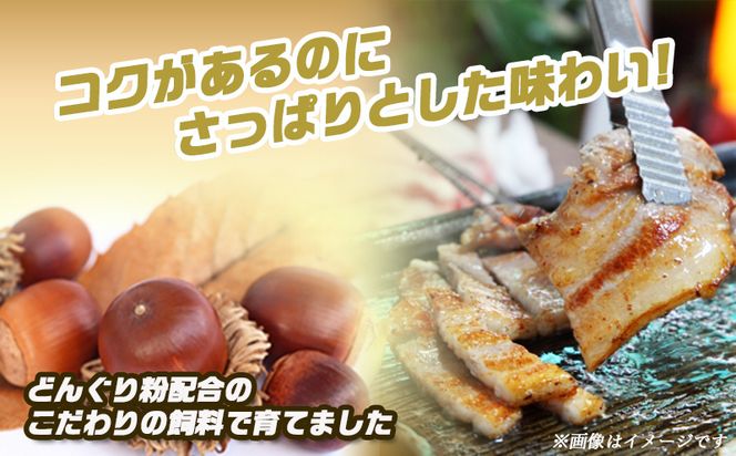 「どんぐりの恵み豚」キャンプ飯3.6kgセット_17-1104