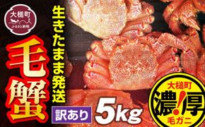 【令和7年発送先行予約】【訳あり】三陸産活毛ガニ 5kg【2025年2月〜4月発送】【配送日指定不可】【0tsuchi01008-24-3】【08】