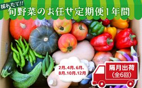 【数量限定】旬野菜のお任せ定期便１年間（隔月出荷　２月４月６月８月１０月１２月） [AH04-NT]