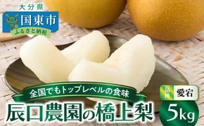 【先行予約】令和8年発送 /辰口農園の橋上梨約5kg(品種:愛宕)_1303R