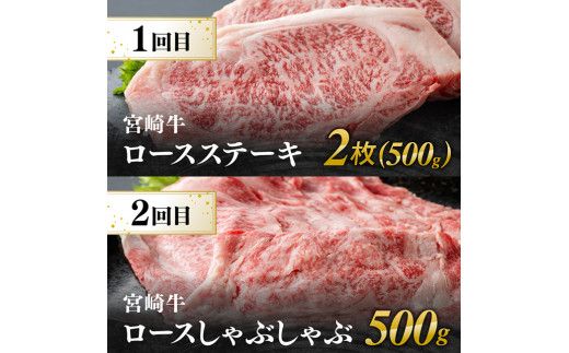 【6ヶ月定期便】宮崎牛定期便A（ ステーキ ・ しゃぶしゃぶ ・ 焼肉 ） 全6回【 肉 牛肉 国産 宮崎県産 宮崎牛 黒毛和牛 和牛 すきしゃぶ 焼しゃぶ 焼肉 4等級 A4ランク 】 [E11133t6]