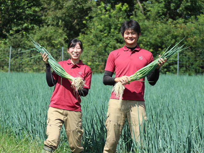 ＜こと京都＞ きざみ 九条ねぎ【冷凍・カップ】1.2kg （50g×24p) 《京都 伝統野菜 ネギ 使い切り 小分け ミニ 紙カップ》 ※離島への配送不可