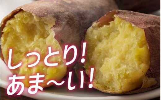 【先行予約】 サツマイモ（紅はるか）サイズ不揃いの訳あり（M～2L）約6kg ※2026年1月以降順次発送予定