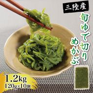 旬ゆで切り めかぶ 1.2kg 120g × 10袋 冷凍 小分け 惣菜 海藻 めかぶ メカブ 大船渡綾里産 三陸海 三陸 1万円 10000円 [56500358_1]