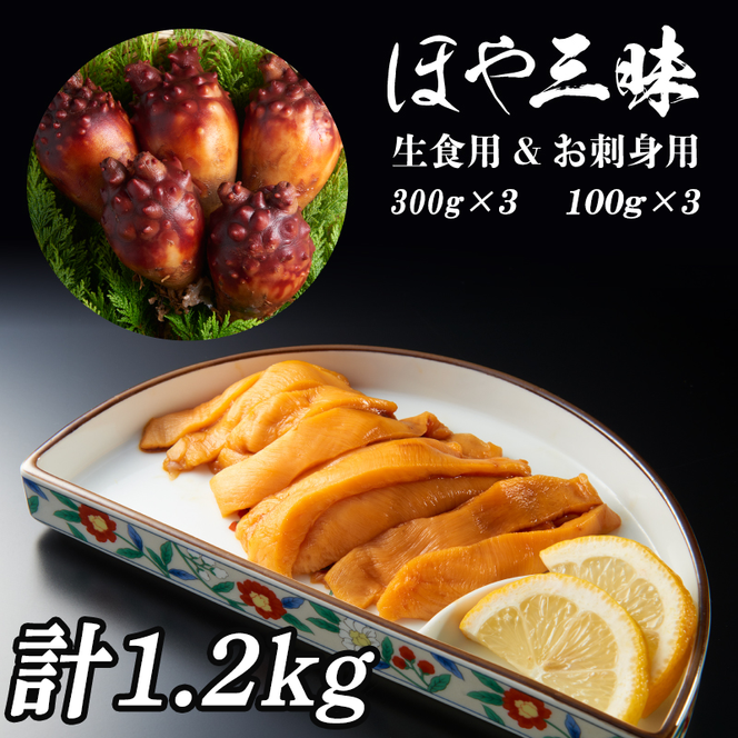 y茧Dnszق v1.2kg (300g×3) / (100g×3) z Hoya Ⓚ Ă tC hg  hg ͂ [  ܂ ӎ   CY CN   Dn O 茧 Y[56500152_1]
