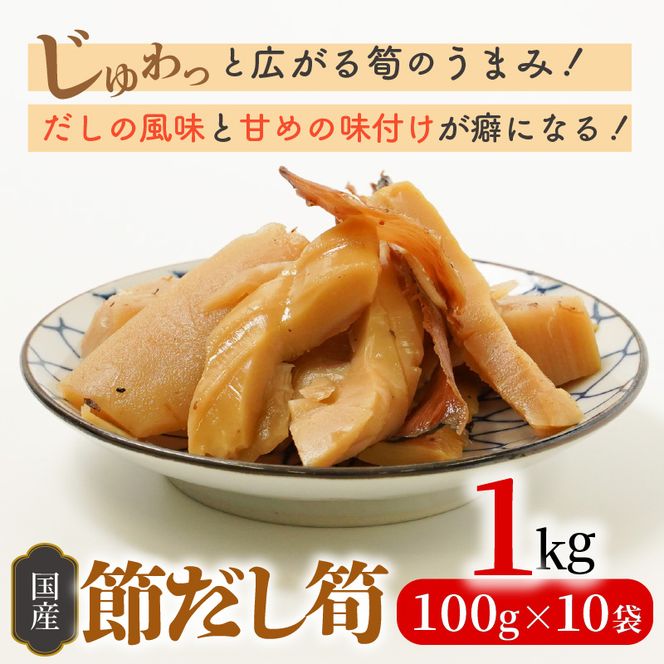 節だし筍（たけのこ）100g×10袋　計1kg　N067-ZA050