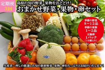 AF057【定期便】【3回】島原の旬の野菜・果物！おまかせ野菜・果物・卵セット