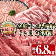 ＜定期便・全6回(連続)＞宮崎牛と県産豚の定期便(総量6.8kg)  牛肉 豚肉 もも 肉 肩ロース ウデ しゃぶしゃぶ 焼肉 豚バラ BBQ 精肉 小間切れ 豚小間 豚こま お取り寄せ 黒毛和牛 ブランド和牛 冷凍 国産【R-81】