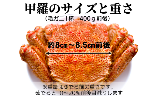 【期間限定3月～4月発送】三陸産三陸活毛ガニ400g×1杯(1尾)【0tsuchi00659】【05】