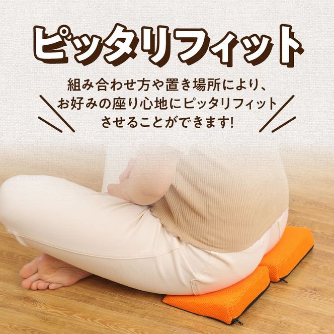 パキュッとクッション [023M14]