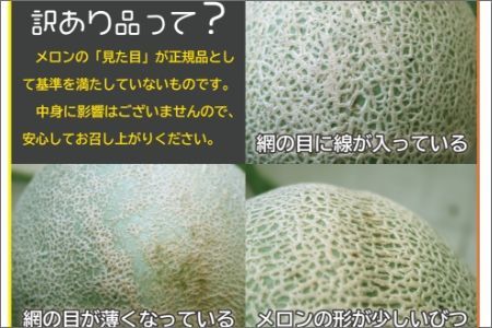 【先行予約／数量限定100】ゆめろんファームの赤肉メロン（訳あり品）（2026年6月上旬～発送）　DE00155