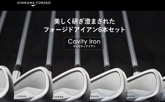 250BD01.CK-H（＃5-PW）