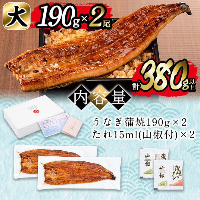 日ノ本一の鰻の蒲焼き＜大＞2尾(計380g以上) b1-018