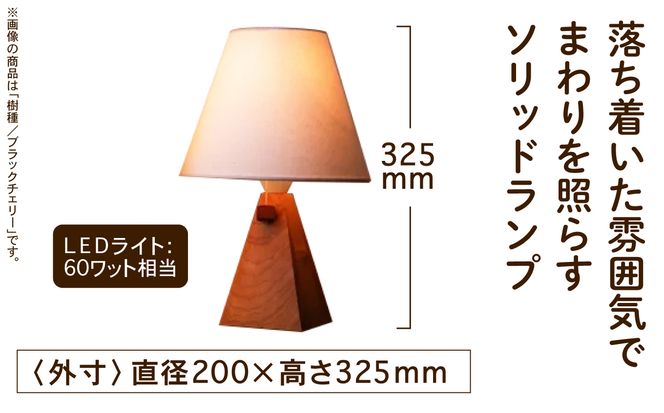 ソリッドランプ  aa024m00