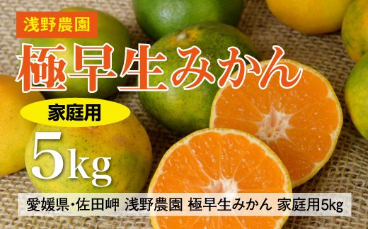 【先行予約】浅野農園の極早生みかん 家庭用5kg｜柑橘 みかん ミカン フルーツ 果物 愛媛 ※2024年10月上旬～11月中旬頃より順次発送予定 ※離島への配送不可