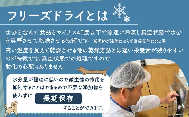 ※使用しない※【増量】犬用　鹿肉フリーズドライ（23g）　K223-001