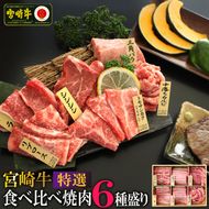 宮崎牛！特選！食べ比べ焼肉6種盛り(合計600g)国産 宮崎県産 牛肉 お肉 ロース カルビ 赤身 特選赤身 霜降り 中落ちカルビ 冷凍【AP-14】【日向屋】