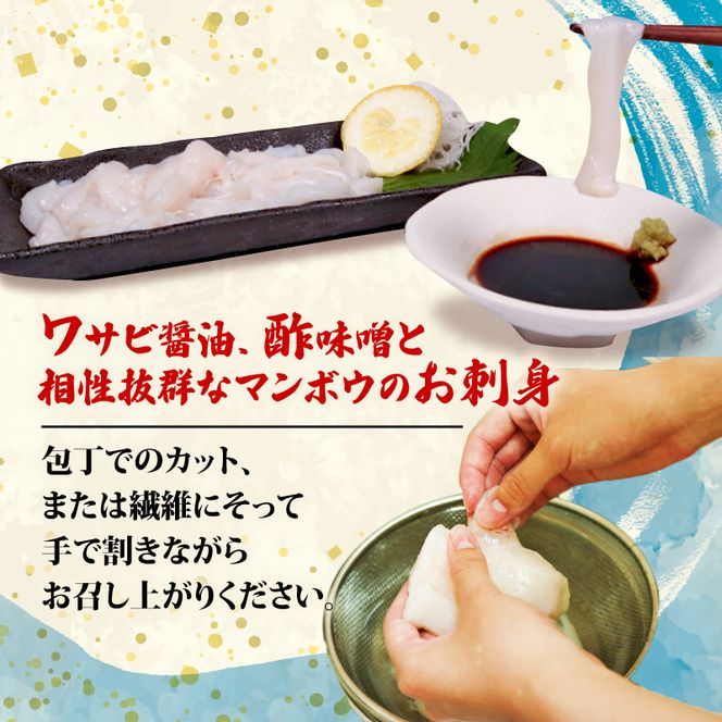 マンボウ正肉600g | 鮮魚 刺身 海鮮 魚 魚介類 まんぼう マンボウ 冷凍 骨なし 生食可 焼き物 フライ 揚げ物 煮物 ご飯のお供 お酒のお供 1万円 10000円 三陸 岩手県 大船渡市 【kouyou011】