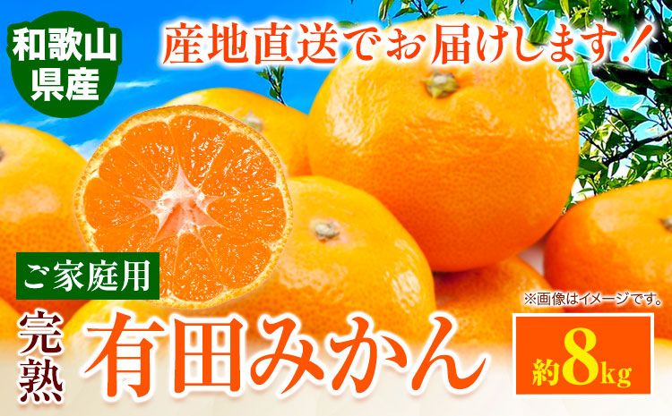 みかん ご 家庭用 完熟 有田みかん 約 8kg 有田マルシェ[11月上旬-1月中旬頃出荷] 和歌山県 日高町 みかん 有田みかん 柑橘 フルーツ 完熟 送料無料 訳あり みかん 蜜柑 ミカン 柑橘---wsh_arm25_a111_24_12000_8kg---