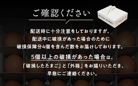 【定期便12ヵ月】《毎月16日にお届け》御殿たまご　赤たまご24個入り（破損保障含む） ｜ 卵 タマゴ 玉子 たまごかけご飯 生卵 鶏卵 卵焼き 国産 御殿場産 ※北海道・沖縄・離島への配送不可
