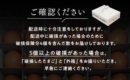 【定期便6ヶ月】《毎月3日と18日にお届け》御殿たまご 赤たまご 24個入×月2回（破損保障含む）もみがら入 ｜ 卵 タマゴ 玉子 たまごかけご飯 生卵 鶏卵 卵焼き 国産 御殿場産 ※北海道・沖縄・離島への配送不可