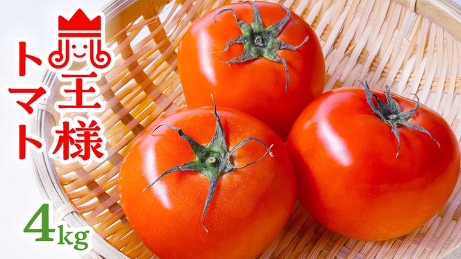 y錧}szʎ I u lg}g v 1 4kg  g}g Ƃ܂ [DE002ci]