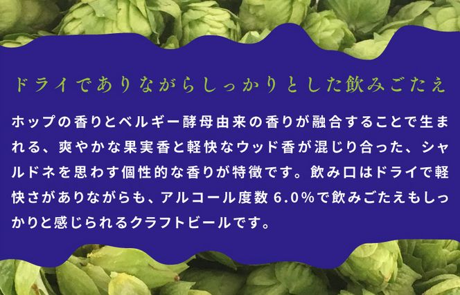 G1662 裏通りのドンダバダ 48本【クラフトビール お酒 beer びーる 宅飲み 家飲み 高評価 ふるさと納税限定 泉佐野オリジナル ヤッホーブルーイング】