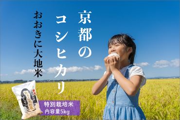特別栽培米コシヒカリ「おおきに大地米」5kg [令和5年度産]DE00051