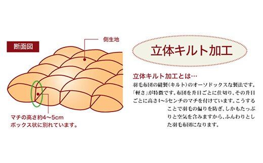 【8-40】ザ・羽毛布団 エクセルゴールドラベル シングル 150×210cmイングランドダウン90％ 日本羽毛製品共同組合品質推奨ラベル付き 羽毛 掛け布団 立体キルト【251-000010-20】