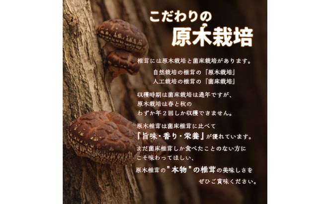 【F07032】原木乾椎茸　どんこ5袋セット（合計500ｇ）
