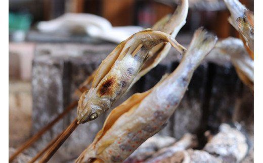 【冷凍】寺岡商会の養殖あめご