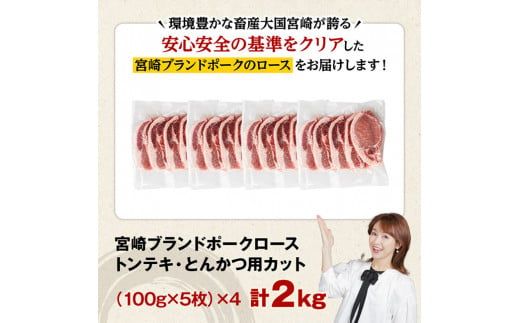 宮崎ブランドポーク ローストンテキ・とんかつ用カット 2kg【九州産 豚 ぶた 肉 ロース とんかつ トンテキ おうちごはん おうち時間】 [E11304]