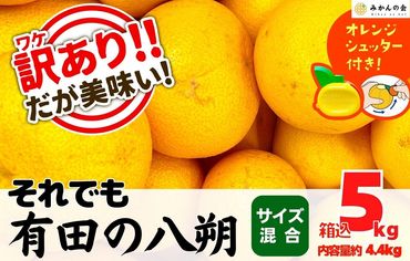 八朔 訳あり それでも 有田の八朔  (はっさく) 箱込 5kg (内容量約 4.4kg) サイズミックス B品 和歌山県産  産地直送【おまけ付き】【みかんの会】 AX242