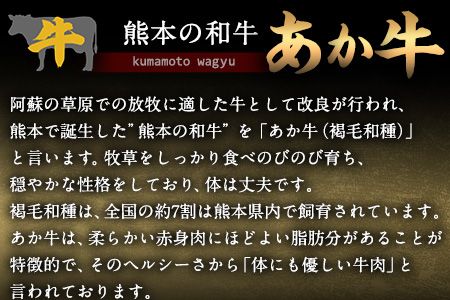 あか牛 赤身ステーキ用 1kg (250g×4) 白水乃蔵《60日以内に出荷予定(土日祝除く)》 あか牛 あかうし 赤牛 赤身 冷凍 小分けパック---sms_fhakakas4_60d_r7_33500_1kg---