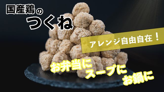  鍋やスープやお弁当に！ たっぷり つくね団子 1kg セット！ 鶏つくね つくね BBQ バーベキュー キャンプ アウトドア 冷凍 お弁当 国産 地鶏 長期保存 備蓄 お取り寄せ 鍋 鶏肉 鶏 肉 とり肉 おつまみ [AI16-NT]