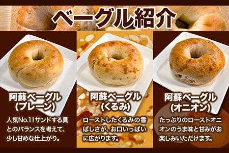 ベーグルワンセット(ハム・ベーコン付き) 1.2kg　ベーグル・ワン《60日以内に出荷予定(土日祝を除く)》ベーグル 10個 ハム ベーコン---sms_fbg1bgset_60d_r7_13000_1200g---