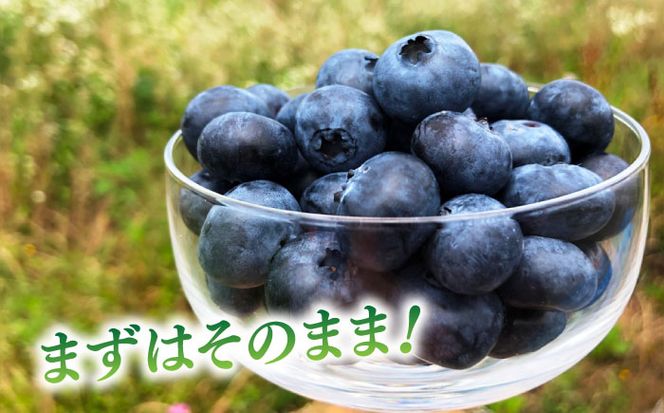 ＼毎年8月より順次発送/あいさいベリー（ブルーベリー冷凍果実）250g×2パック 産地直送 腸活 美肌 冷凍ブルーベリー 愛西市 / あいさいベリーLABO [AEBZ005]