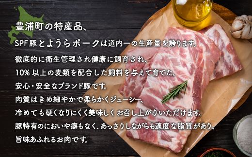 とようらポーク1.2kg ひき肉 小分け 北海道豊浦産 SPF豚 TYUO055