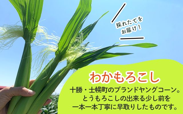 《期間限定》北海道 士幌産 わかもろこし 25本 セット (2026年7月中旬～発送開始予定) 皮付き 甘い ヤングコーン 十勝産 トウモロコシ とうもろこし 新鮮 野菜 産地直送 産直 お取り寄せ 送料無料 十勝 士幌町【L28】