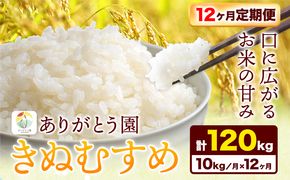 【12ヶ月定期便】 令和6年産 米 岡山県産 きぬむすめ 白米 10kg ありがとう園《お申込み月の翌月から出荷開始》岡山県 矢掛町 米 コメ 一等米 定期便 定期---osy_aekhtei_23_219500_mo12num_10---