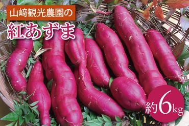 AU010　山﨑観光農園の紅あずま　約6kg