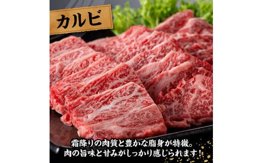 宮崎牛 カルビ焼肉 500g 【 肉 牛肉 国産 宮崎県産 黒毛和牛 カルビ 焼肉 】[D11428]