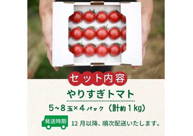 【先行予約】やりすぎトマト（4パック計約1kg）（冬季）（2024年12月上旬以降発送） DE00057