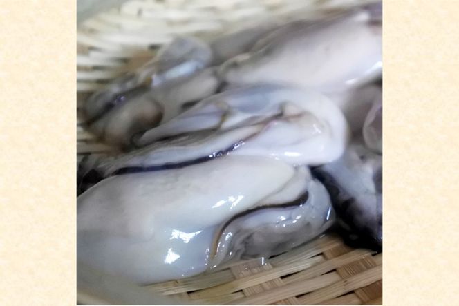 【C1-002】 冷凍むき身牡蠣(加熱調理用)2kg