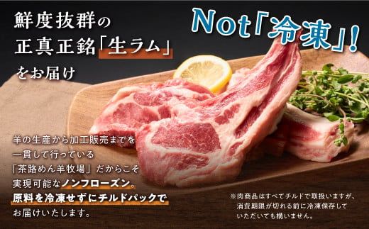 骨付きラム肉ステーキセット【300g×1パック、オリジナルスパイス10g】