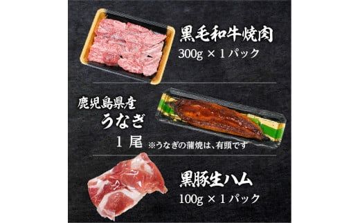 黒豚・黒毛和牛・うなぎ　鹿児島味の極み便A（焼肉）　 K086-013