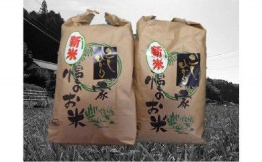 限64. 【令和6年度新米】八百津で採れたコシヒカリ！ 10kg