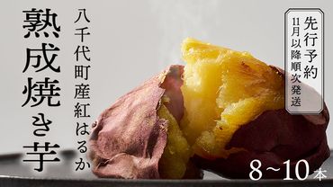 【 先行予約 2025年1月以降発送 】 oimo_tokyo 熟成 焼き芋 八千代町産 紅はるか 8本～10本 冷蔵 冷やし やきいも 食物繊維 さつまいも 美容 健康 スイーツ おやつ 小分け 茨城県産 [BY002ya]